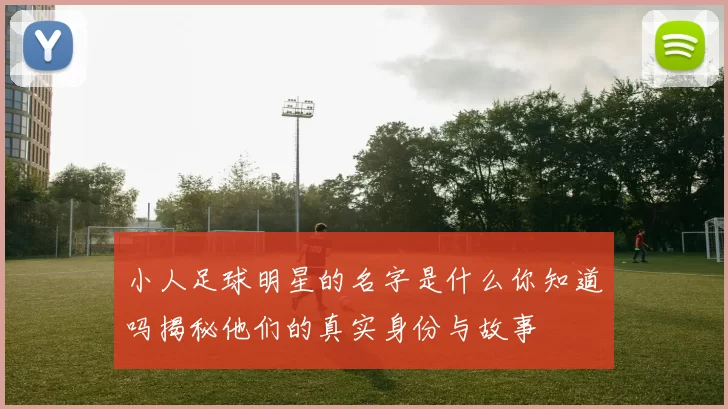 小人足球明星的名字是什么你知道吗揭秘他们的真实身份与故事
