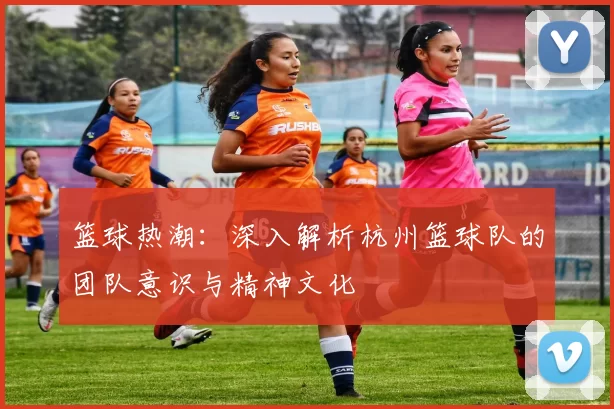 篮球热潮：深入解析杭州篮球队的团队意识与精神文化
