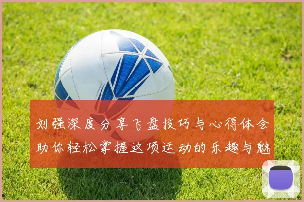 刘强深度分享飞盘技巧与心得体会助你轻松掌握这项运动的乐趣与魅力