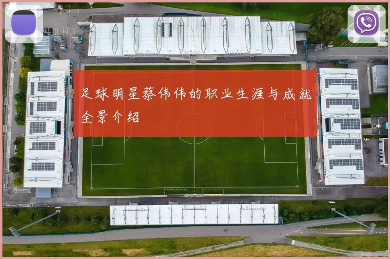 足球明星蔡伟伟的职业生涯与成就全景介绍