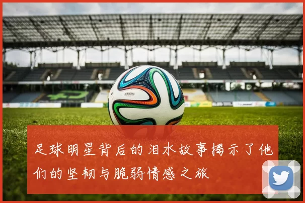 足球明星背后的泪水故事揭示了他们的坚韧与脆弱情感之旅