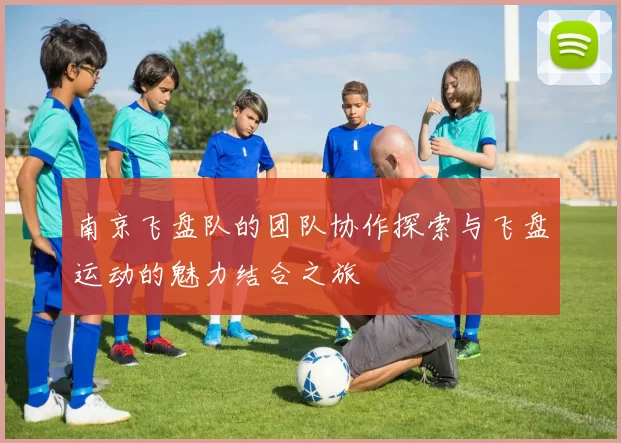 南京飞盘队的团队协作探索与飞盘运动的魅力结合之旅