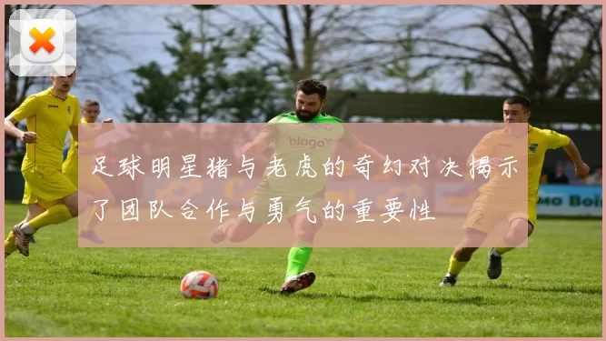 足球明星猪与老虎的奇幻对决揭示了团队合作与勇气的重要性