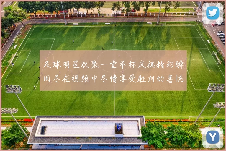 足球明星欢聚一堂举杯庆祝精彩瞬间尽在视频中尽情享受胜利的喜悦与激情