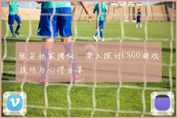 张芳独家揭秘：深入探讨CSGO游戏技巧与心得分享