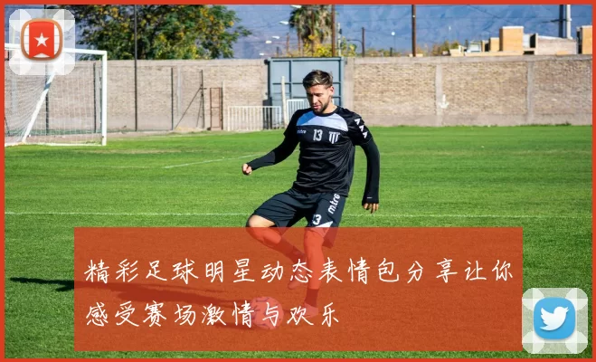 精彩足球明星动态表情包分享让你感受赛场激情与欢乐