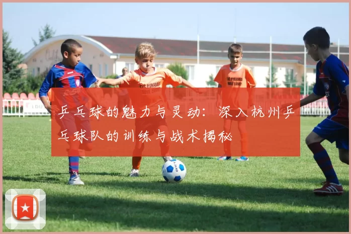 乒乓球的魅力与灵动：深入杭州乒乓球队的训练与战术揭秘
