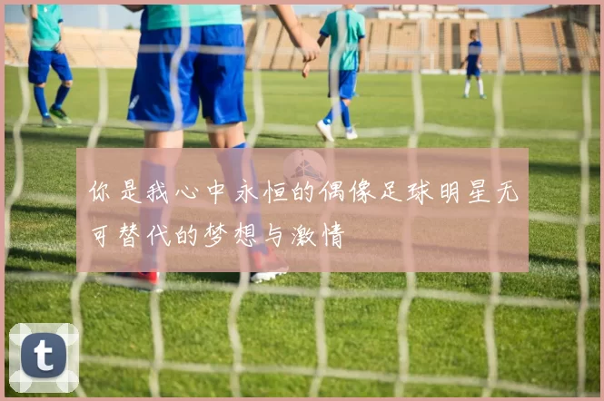 你是我心中永恒的偶像足球明星无可替代的梦想与激情