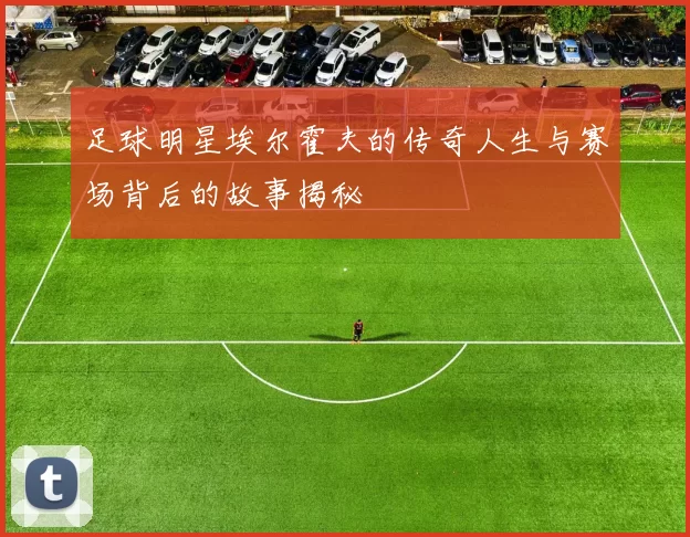 足球明星埃尔霍夫的传奇人生与赛场背后的故事揭秘