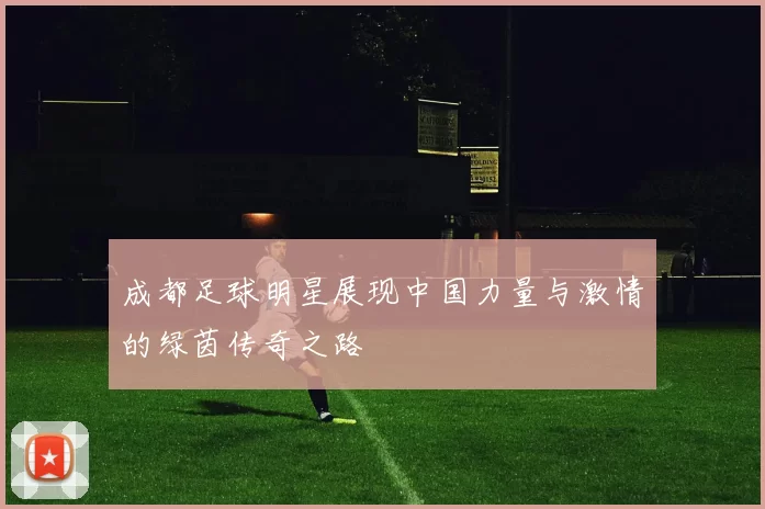 成都足球明星展现中国力量与激情的绿茵传奇之路
