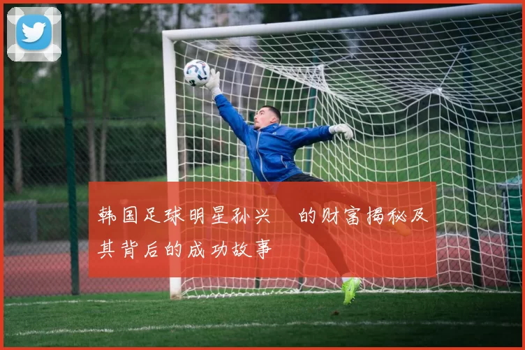 韩国足球明星孙兴慜的财富揭秘及其背后的成功故事