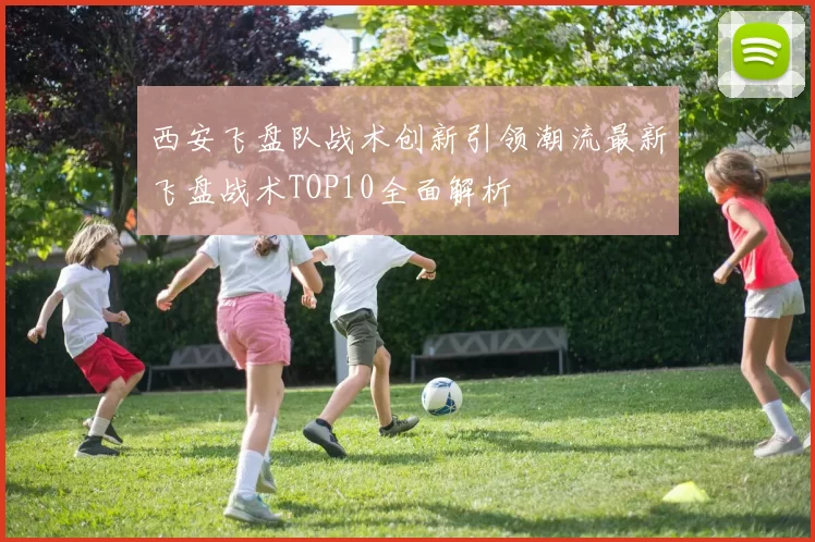 西安飞盘队战术创新引领潮流最新飞盘战术TOP10全面解析