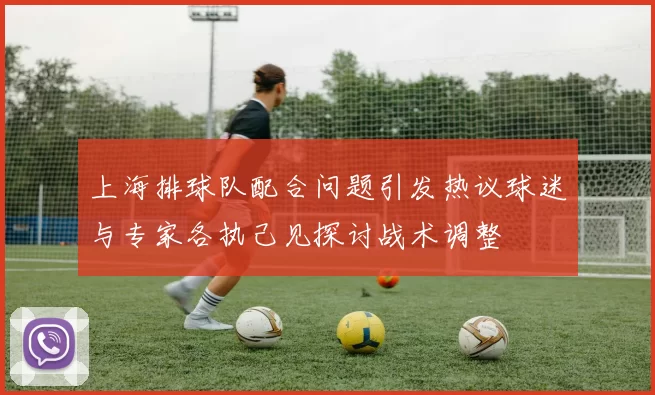 上海排球队配合问题引发热议球迷与专家各执己见探讨战术调整