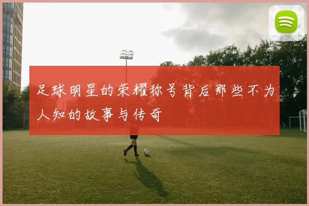 足球明星的荣耀称号背后那些不为人知的故事与传奇