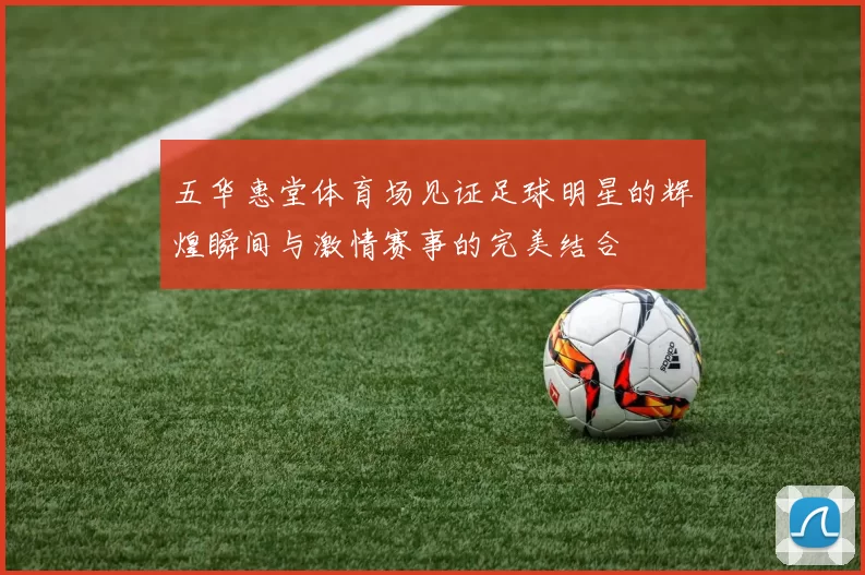 五华惠堂体育场见证足球明星的辉煌瞬间与激情赛事的完美结合