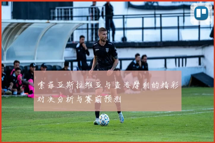 索菲亚斯拉维亚与查洛摩利的精彩对决分析与赛前预测