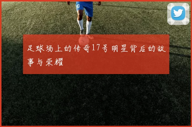 足球场上的传奇17号明星背后的故事与荣耀