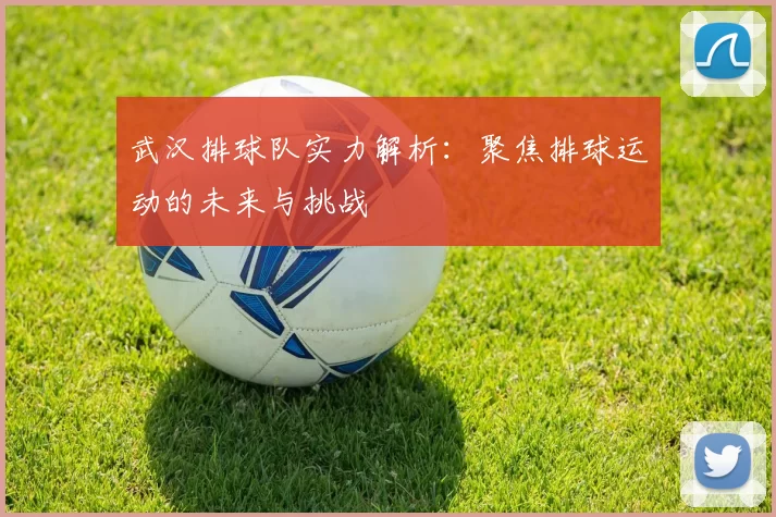 武汉排球队实力解析：聚焦排球运动的未来与挑战